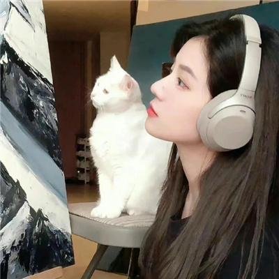 三少爷的剑